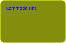 Commodo sint